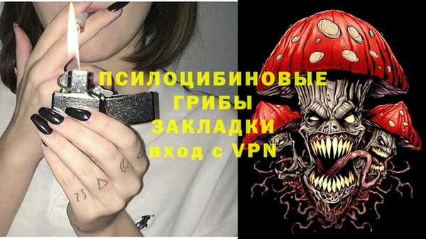 крисы Баксан