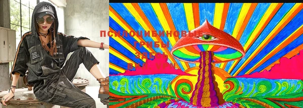 крисы Баксан
