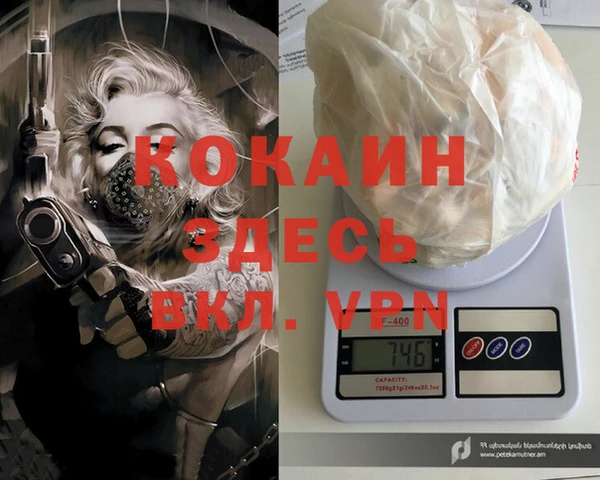 шишки Заволжск