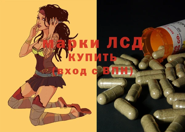 ПСИЛОЦИБИНОВЫЕ ГРИБЫ Арсеньев