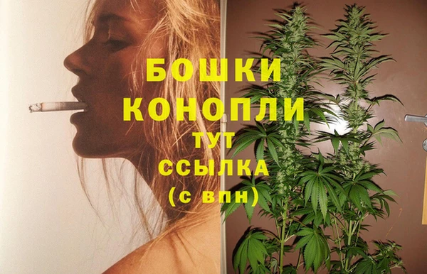 крисы Баксан
